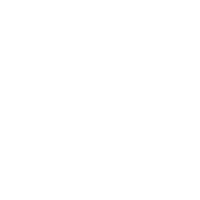 Euro Icon
