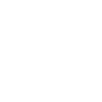 Einkauf Icon