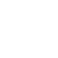 WLAN Icon