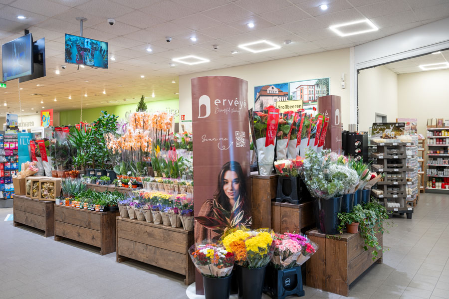 Blumen- und Pflanzeninsel im Supermarkt mit Sträußen, Topfpflanzen und Werbeständern.